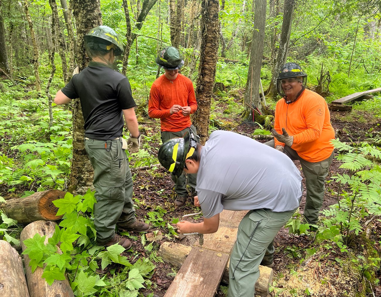 Four people wearing hard hats stand around a plank trail in a forest.