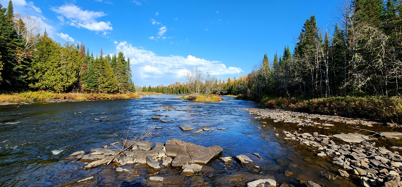 A river in a fall forest.