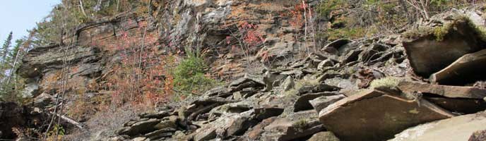 Rove Formation layered graywacke Rove Formation layered graywacke
