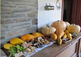 squash, bean and potato harvest squash, bean and potato harvest