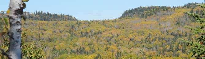 A "Gap in The Hills" on a colorful Fall day. A "Gap in The Hills" on a colorful Fall day.