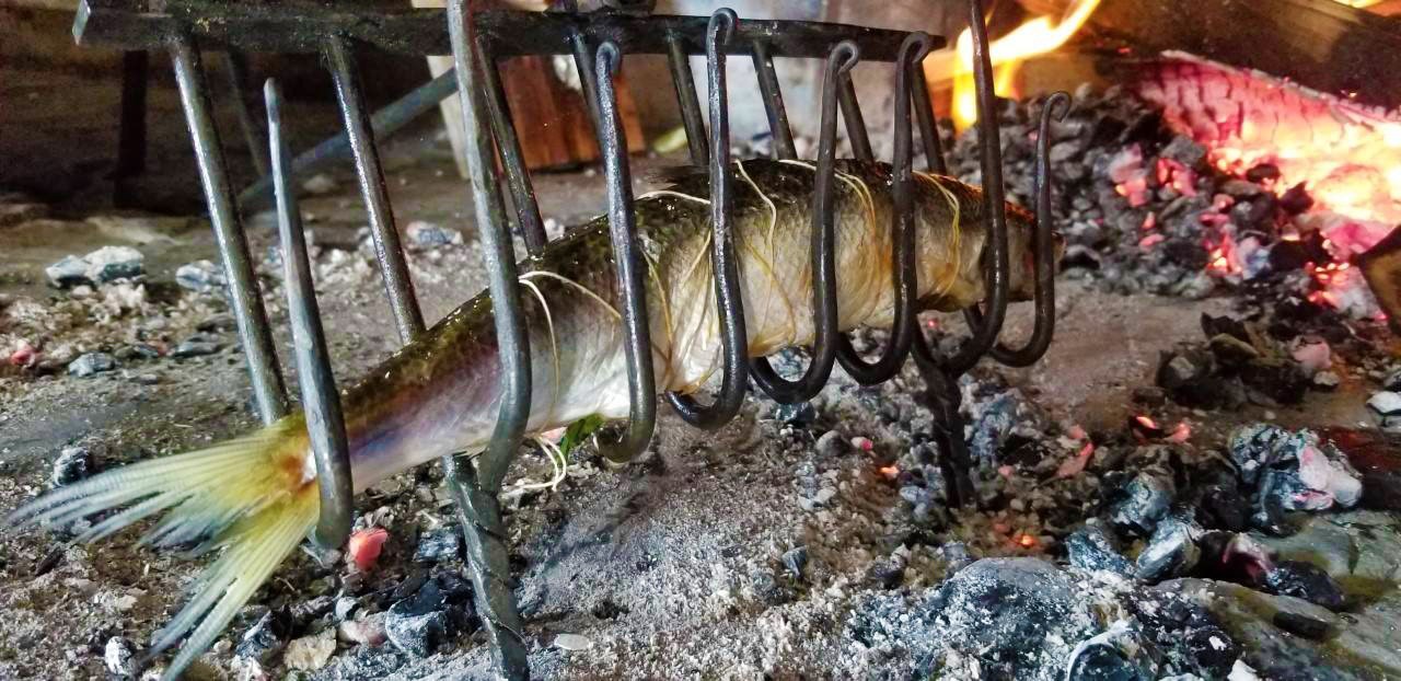Fish in an iron holder, cooking over coals.