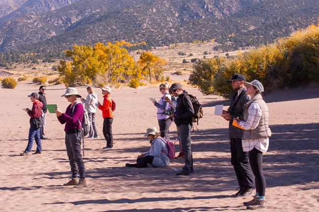 Nancy Arbuthnot leads sketching at the edge of the dunes with golden cottonwood trees in the background