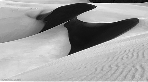 Abstract dune shapes in black and white photography