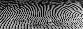 Last Light, Dune Grasses by Jim Sidinger