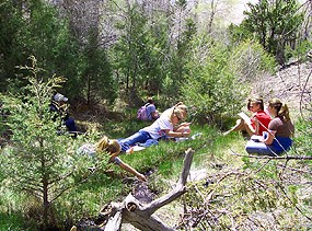 journalling at Buck Creek journalling at Buck Creek