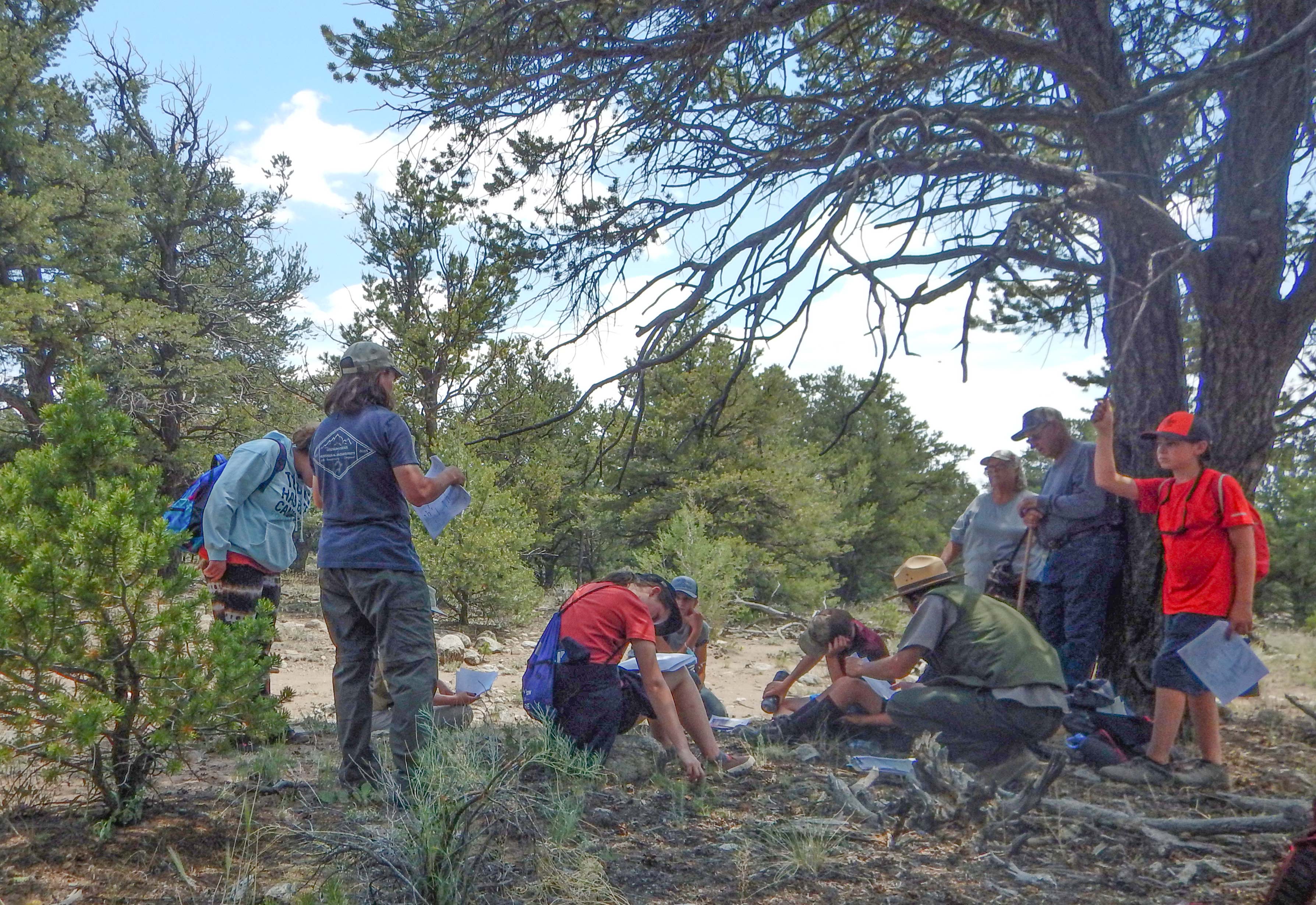 Youth and a ranger explore an archeological site under a pinon tree