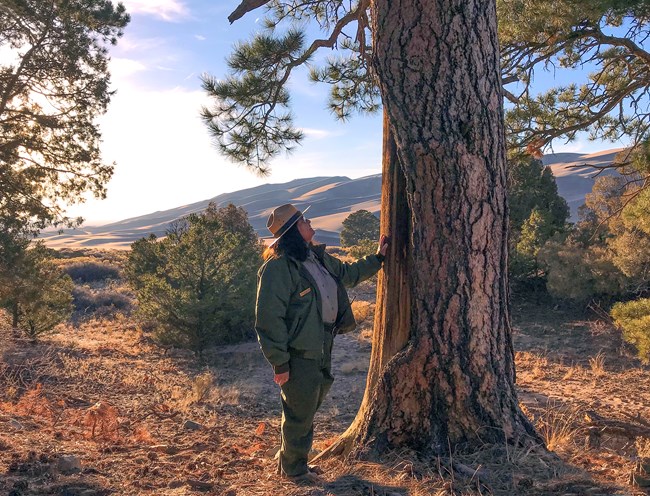 A female Native park ranger touches the peeled area of a ponderosa pine in front of the dunes