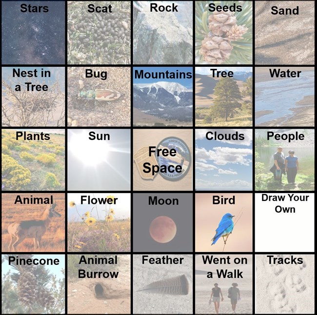 A bingo sheet with items a child may find in their yard or street
