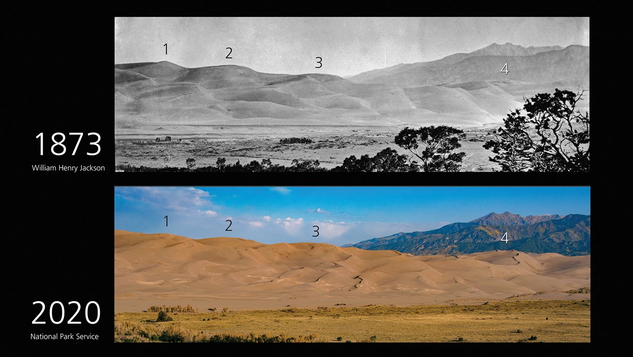 A historic 1873 photo of the dunes at top is compared with a 2020 photo at bottom. Both photos show large dunes in the same locations.