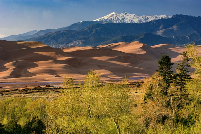 The dunes that inspired 'Dune' are disappearing.