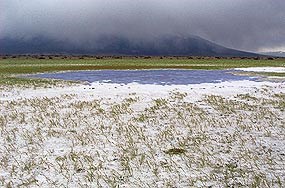 Sabkha wetland