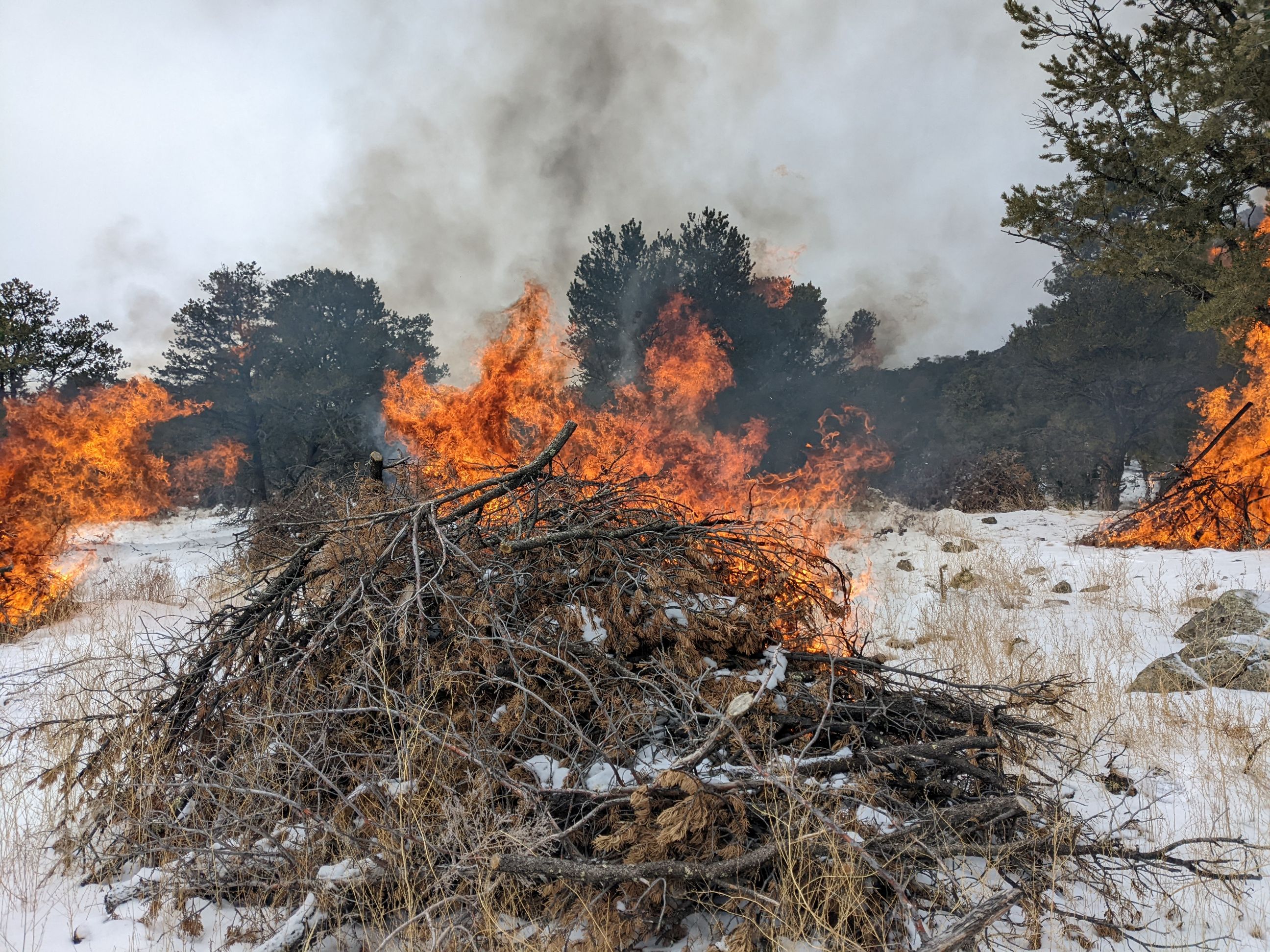 A pile of branches is piled and burning in the snow