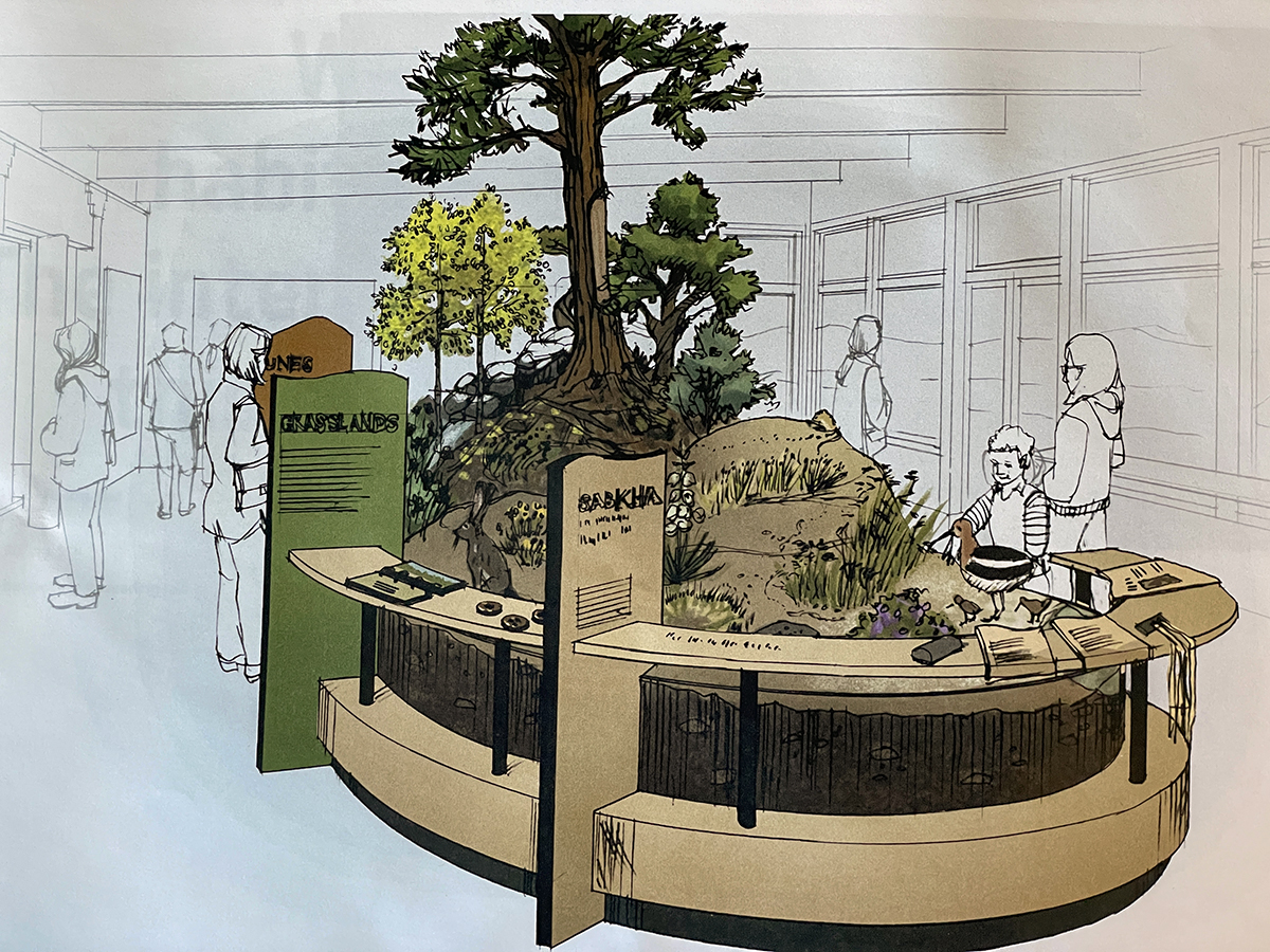 A graphic illustration showing one section of an interactive diorama, part of the new exhibits to be installed next week. This graphic depicts the lower end of a diorama portraying multiple ecosystems from wetlands to alpine tundra.