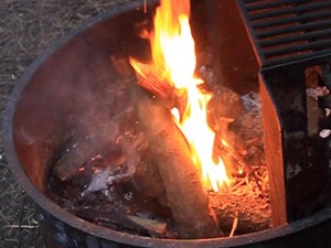A fire burning within a metal fire ring