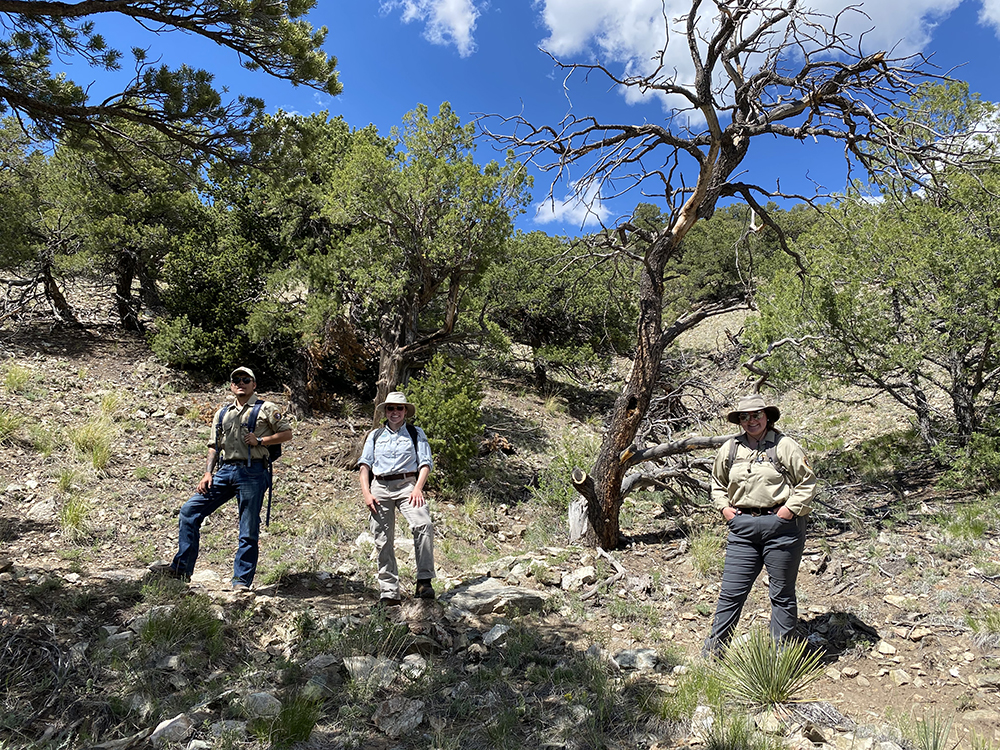 Three Conservation Legacy Interns from the 2021 season stand in their uniforms on a trail in the forested foothills of the Sangre de Cristo Mountains.