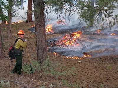 A prescribed burn being monitored by staff. A prescribed burn being monitored by staff.