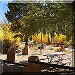 150-picnic