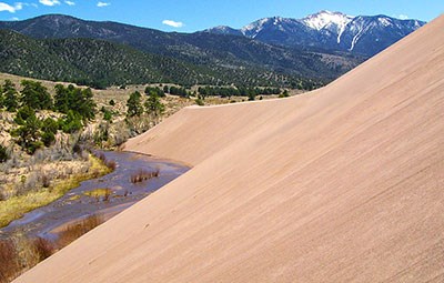 Dune slope, Medano Creek, Trees, and Distant Snow-Capped Mountain