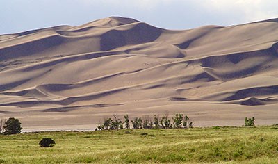 Green grasses, trees, and Massive Dune