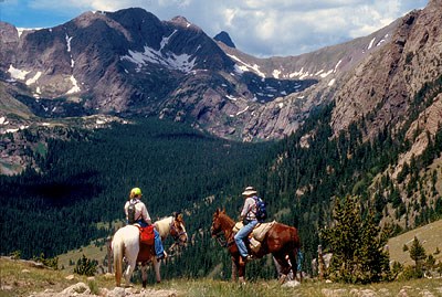 Horses at Music Pass