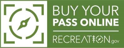 Logo for digital passes