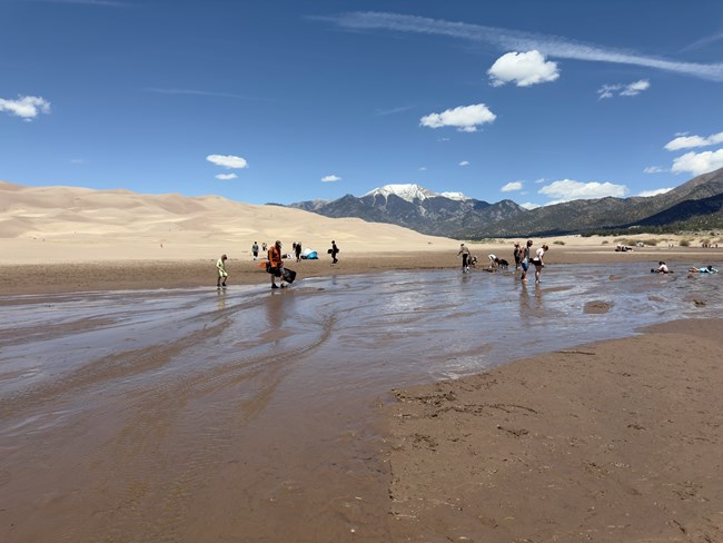 Medano Creek with visitors walking across shallow water with dunes in background
