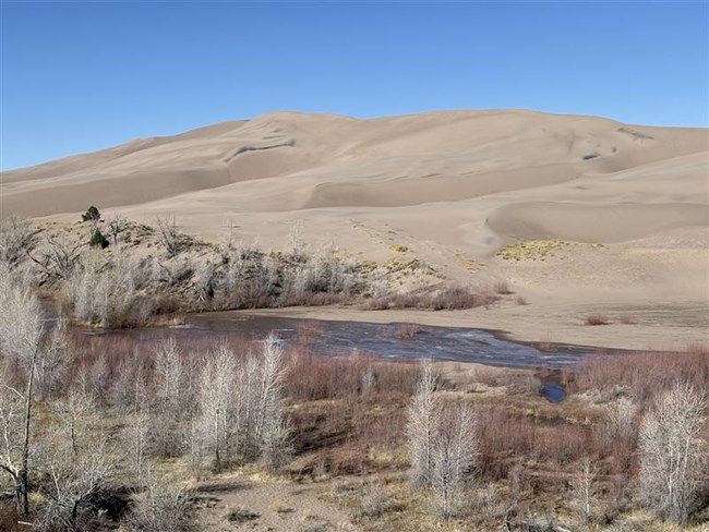 A sandy creek flowing through vegetation with dunes in the background