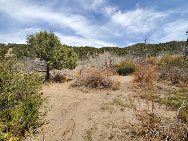 Buck Creek Site Buck Creek is one of the easier sites to get to. It is great for beginning backpackers.