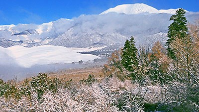 Snowy trees, dunes, and mountains