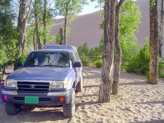 A blue Toyota pickup is parked on sandy ground in cottonwood trees at the base of a sand dune