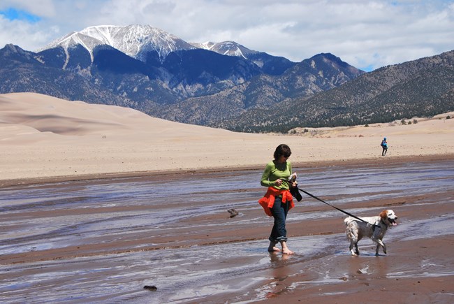 Woman with Dog on leash in Medano Creek at the base of the Dunes