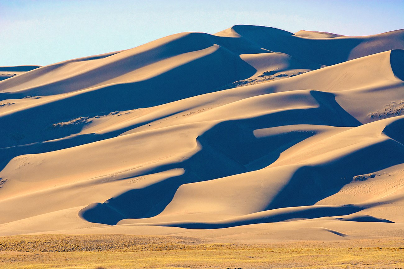 Dune with warm late afternoon sun and shadows