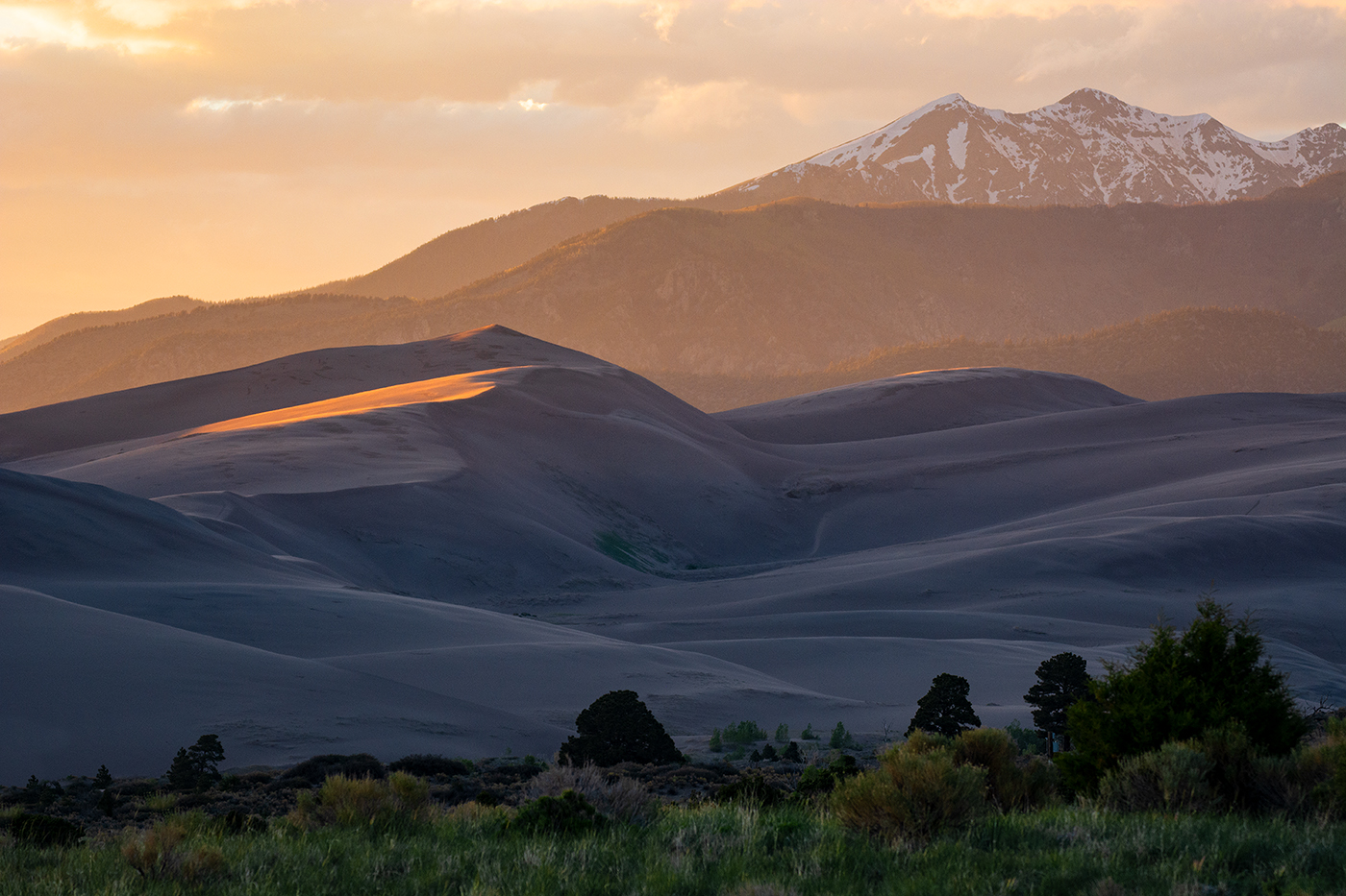 Grasslands, ponderosa pines, large dunes, and a snow-capped mountain