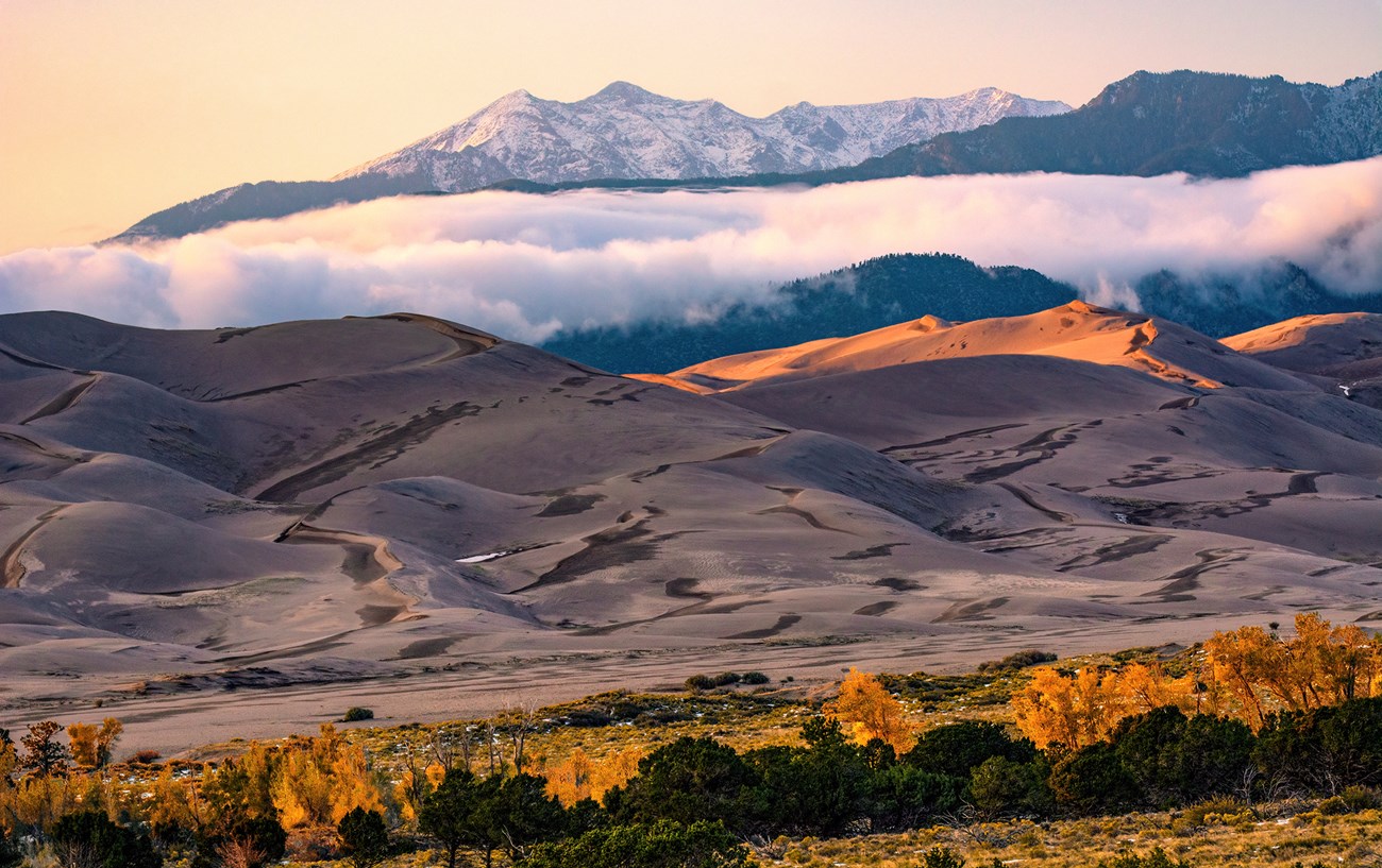 Grasslands, a line of gold cottonwood trees, massive dunes, a bank of clouds, and snow-capped mountain