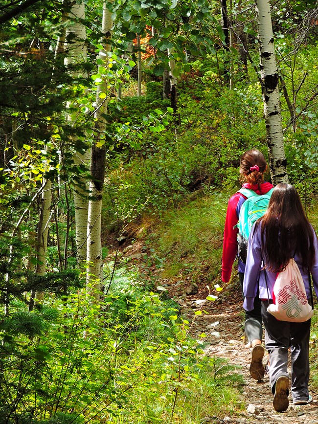 Two teen girls hike on a forested trail in the Sangre de Cristo Wilderness