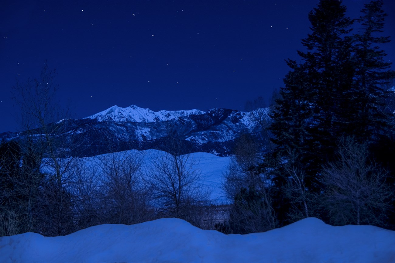Snowy Night, Forest, Dunes, and Mountains