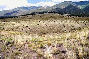 Crater on North Side of Park