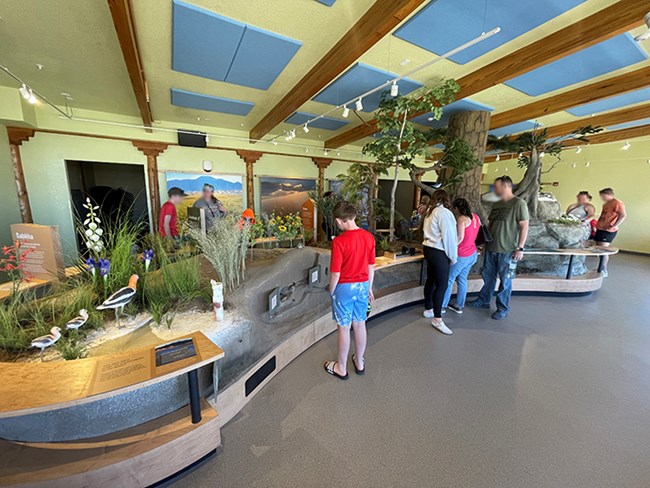 A view of one side of the visitor center diorama depicting ecosystems from wetlands to tundra
