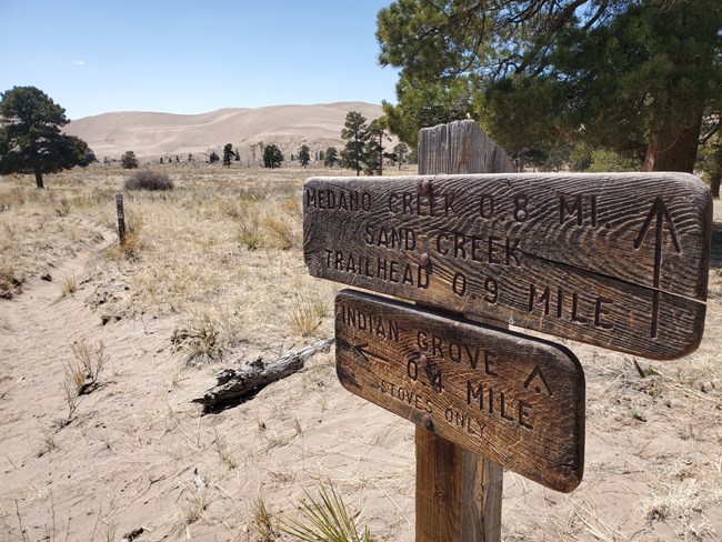 Post for trail turn off near the Medano Pass Primitive Road