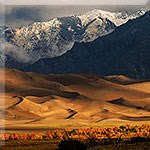 Fall colors at the base of dunes with snowcapped mountain