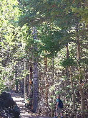 Boy Hiking Mosca Pass Trail
