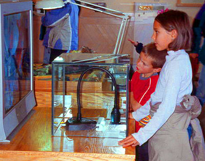 Kids Geology Exhibit Kids Geology Exhibit