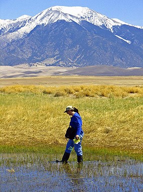 Researcher explores a wetland