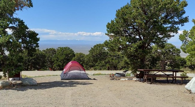 Zapata Falls Campground Campsite Showing Tent in Pine Trees