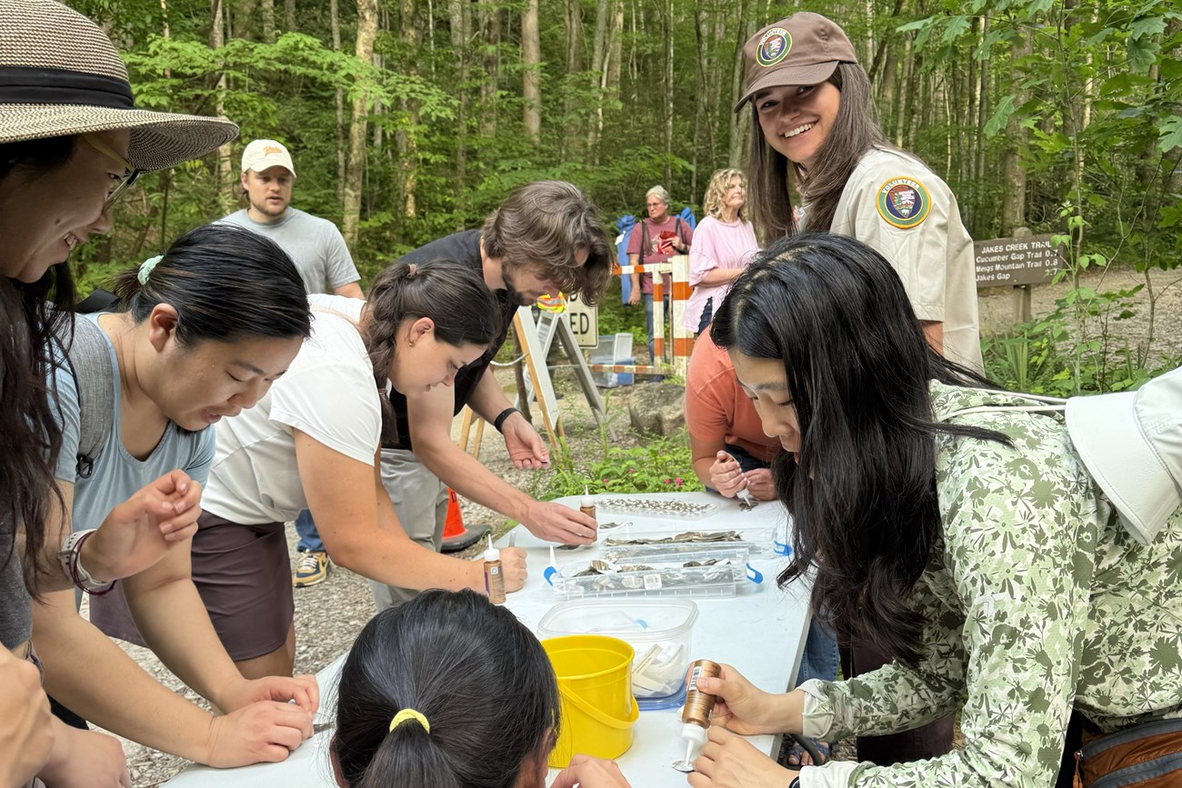 A volunteer at a craft table as visitor make a firefly textile art piece.