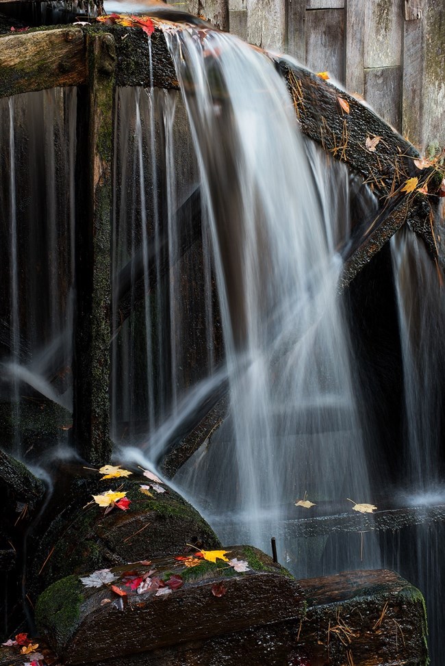 "One touch of nature makes the whole world kin"   William Shakespeare, Playwright
Water flowing down waterwheel, with colorful autumn leaves in the foreground