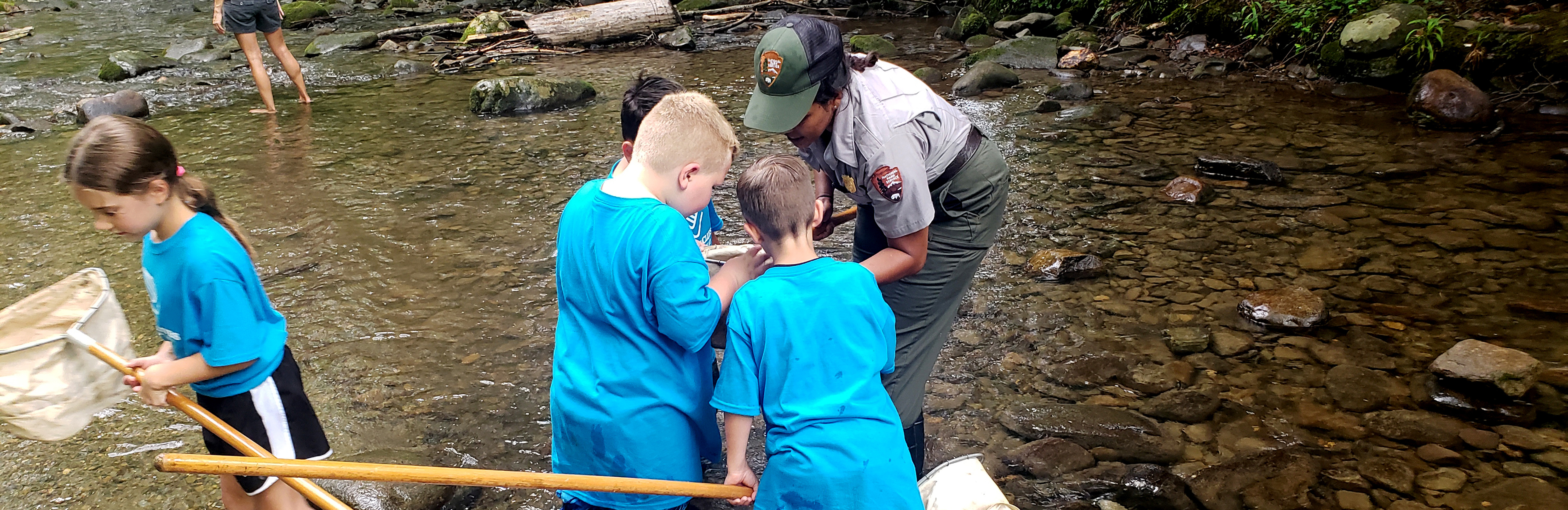 Students and Ranger looking at nets in a stream.