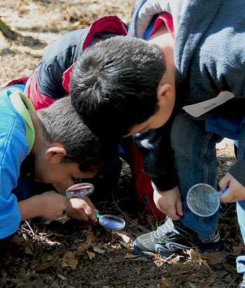 Three young boys use magnifying glasses to examine leaf litter
