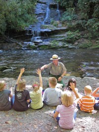 There are many questions when classes go on fieldtrips There are many questions when classes go on fieldtrips